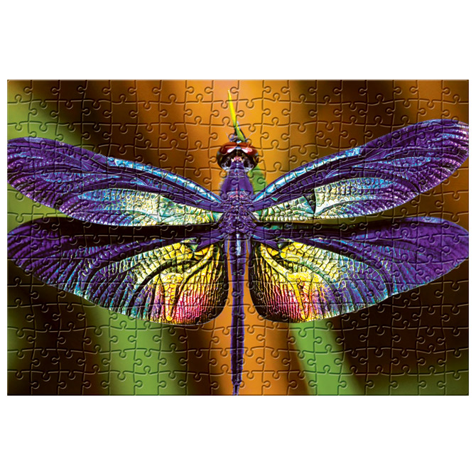 000054113_2