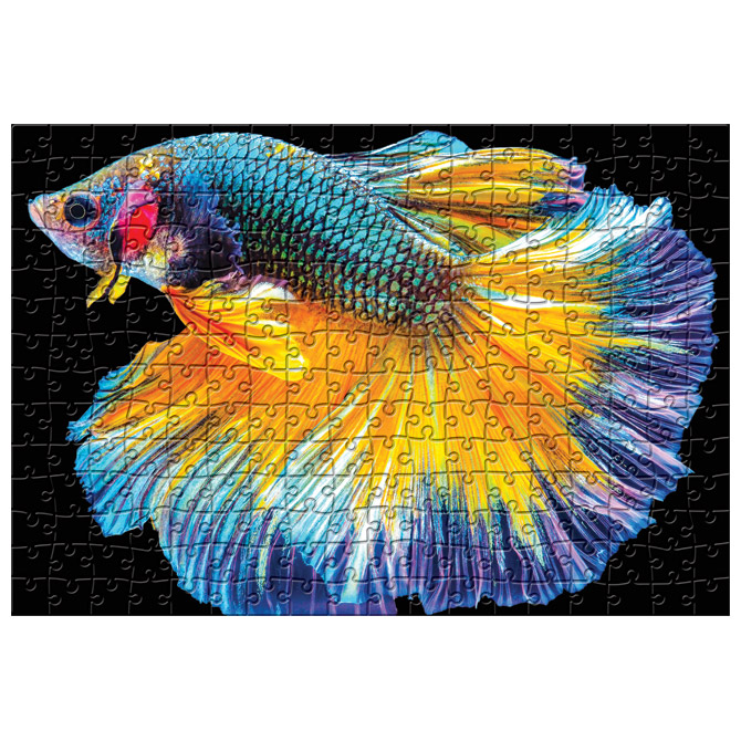 000054116_2